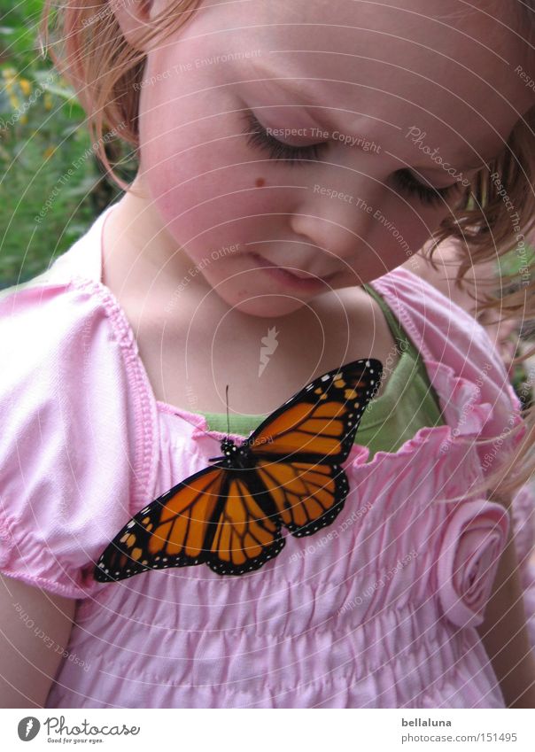 kleine Wunder Freude Glück Leben Kind Mädchen Pflanze Schmetterling Gefühle Farbfoto mehrfarbig Innenaufnahme Morgen Tag niedlich Blick nach unten blond sitzen