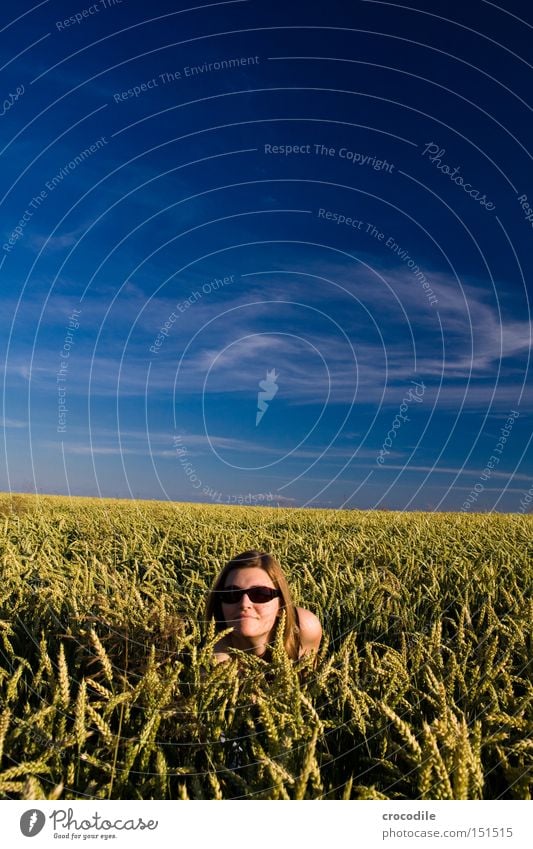 Versteckspiel verstecken Weizen Feld Frau ducken Wolken Himmel Sonnenbrille Kopf Haare & Frisuren Spielen Pol- Filter Sommer schön