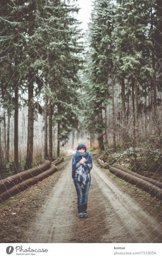 Blaukäppchen Lifestyle Stil Ausflug Abenteuer Mensch feminin Frau Erwachsene Weiblicher Senior Leben 1 60 und älter Natur Landschaft Winter Eis Frost Baum Wald