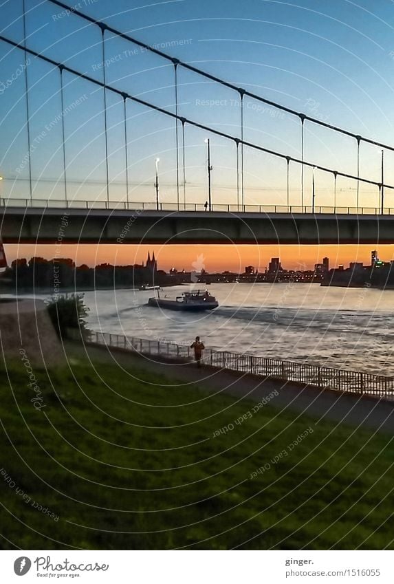 Am Mülheimer Mäuerchen Zufriedenheit Erholung Ferne Wellen Flussufer Köln Stadt Hafenstadt Skyline Kirche Dom Brücke Bauwerk Mauer Wand Sehenswürdigkeit