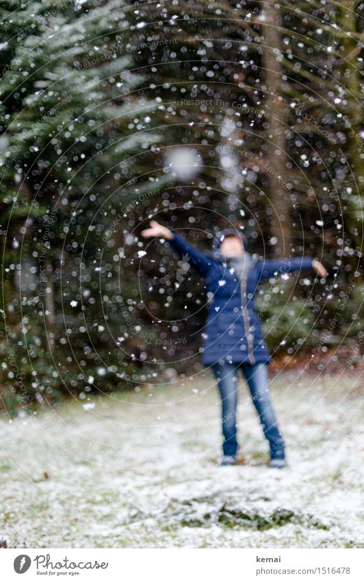 Frau Holle is back Wellness Leben Spielen Freiheit Winter Schnee Mensch feminin Erwachsene 1 Schneefall Wald Jeanshose Mantel Mütze Bewegung genießen Tanzen