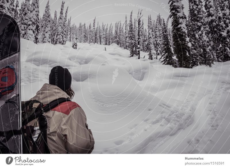 Snowboarder geht Skitour maskulin Junger Mann Jugendliche 1 Mensch Sport ästhetisch Coolness Amerika Skifahren Powder Backcountry Winter Schnee Pulverschnee