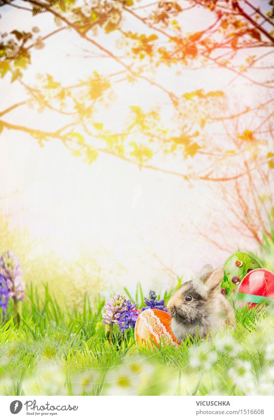 Osterhase mit Frühlingsblumen und Ostereier in Frühlingsgarten Stil Design Garten Feste & Feiern Ostern Natur Landschaft Sonnenlicht Schönes Wetter Park Tier