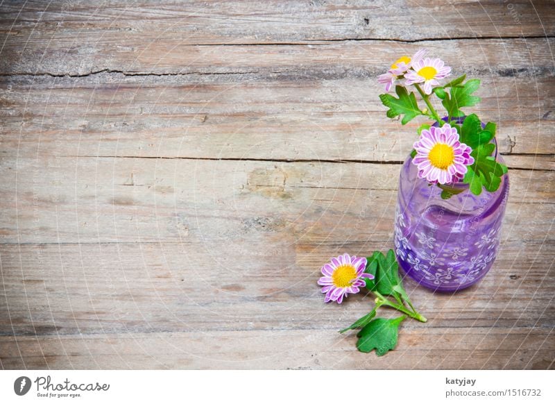 Blumen in Vase Muttertag Valentinstag Holz Tisch Holztisch Margerite Gänseblümchen rosa Romantik Geschenk Gutschein schenken Liebe Hintergrundbild violett