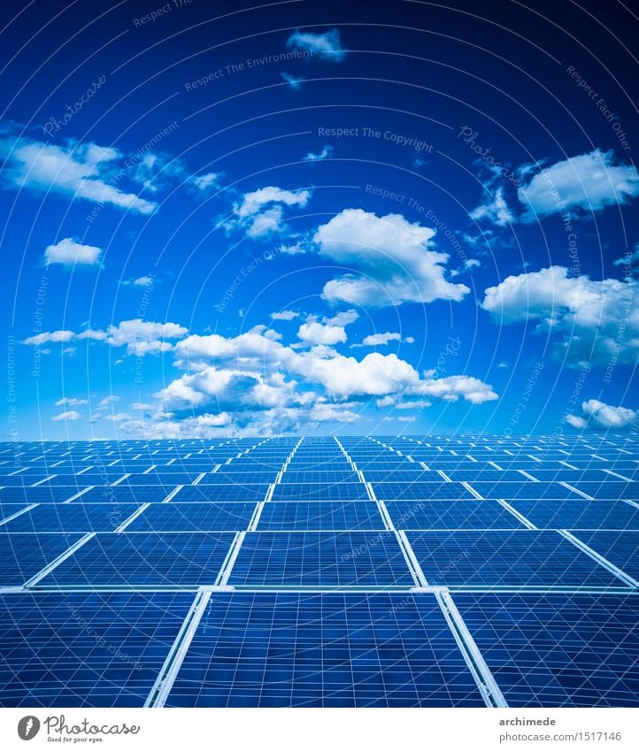 Photovoltaik-Panel Sommer Sonne Wissenschaften Industrie Technik & Technologie Umwelt Natur Pflanze Himmel Wolken Klima Gras modern Sauberkeit blau grün Schutz