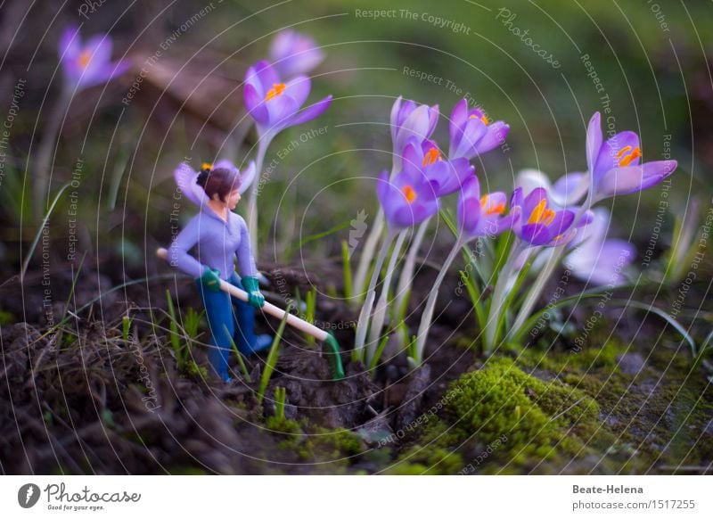 wachsen und gedeihen | bei guter Pflege sichergestellt Stil Dekoration & Verzierung Landwirtschaft Forstwirtschaft Erfolg feminin Natur Pflanze Erde Frühling