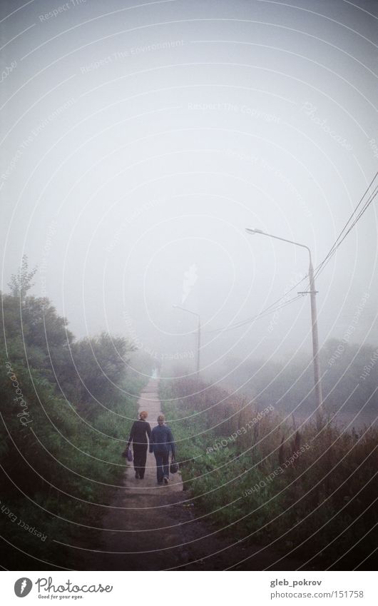 Nebel. Umnebelung Sibirien Reflexion & Spiegelung Blüte grün Himmel weiß Mensch Straße Licht Lichterscheinung Russland Jahreszeiten Sportveranstaltung