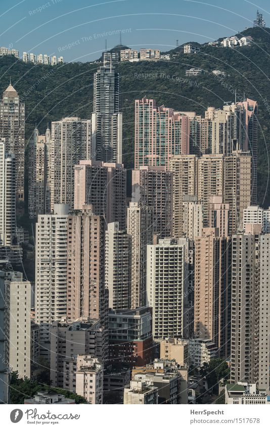 rooms with a view Ferien & Urlaub & Reisen Sightseeing Städtereise Hongkong China Hafenstadt Stadtrand Skyline Haus Hochhaus Bauwerk Gebäude Architektur Fassade