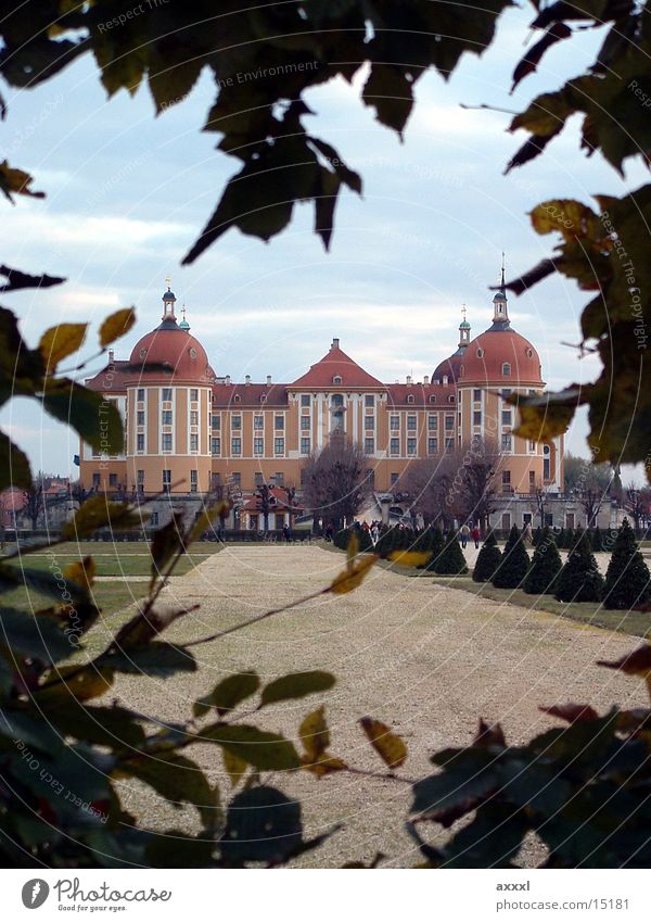 Schloss Moritzburg Hecke Romantik Sachsen Architektur Burg oder Schloss Jagdschloss Moritzburg