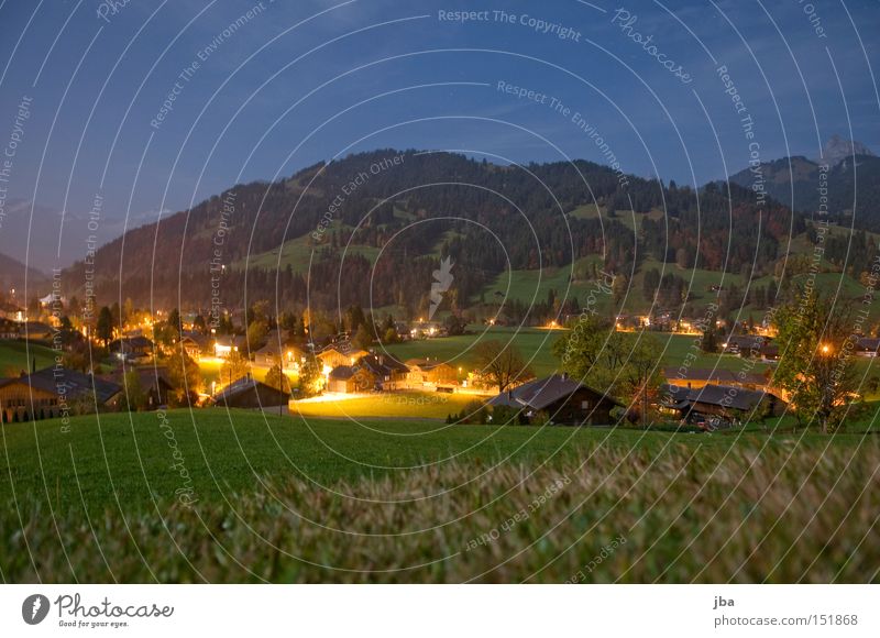 spät abends 3rd Nacht Abend Mondschein Vollmond Schatten Wiese Aussicht Baum Berge u. Gebirge Licht Berghang Gras Lampe Beleuchtung Stimmung Langzeitbelichtung