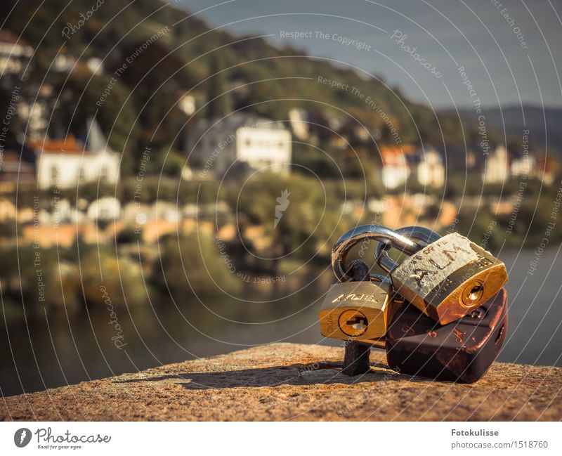 Liebesschlösser Umwelt Natur Landschaft Wasser Herbst Schönes Wetter Flussufer Neckar Heidelberg Deutschland Europa Dorf Stadt Menschenleer Haus Brücke Bauwerk