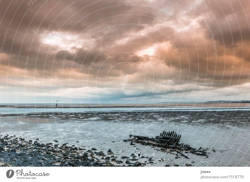 Skelett Landschaft Wasser Himmel Wolken Horizont schlechtes Wetter Küste Schiffswrack Holz alt blau orange schwarz weiß Endzeitstimmung Vergänglichkeit Ferne