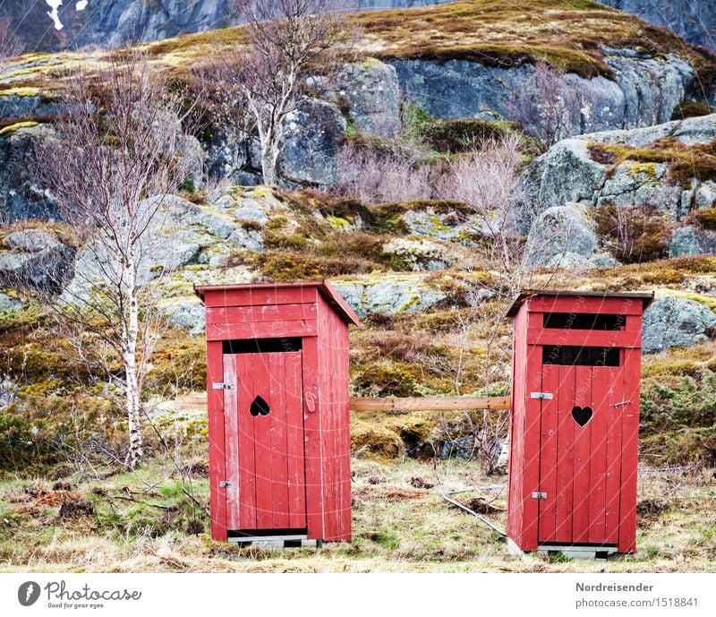 Irritation Landschaft Gras Moos Felsen Berge u. Gebirge Hütte Bauwerk Tür Dekoration & Verzierung Holz Zeichen Herz außergewöhnlich Freundlichkeit Fröhlichkeit