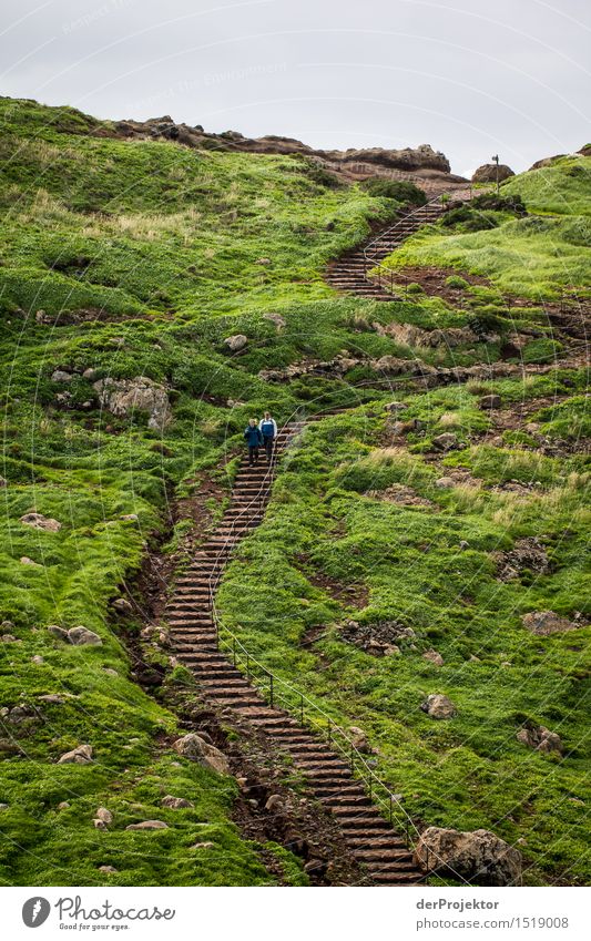 Walk the line 5 Ferien & Urlaub & Reisen Tourismus Ausflug Abenteuer Ferne Freiheit Berge u. Gebirge wandern Umwelt Natur Landschaft Pflanze Tier Winter Wiese