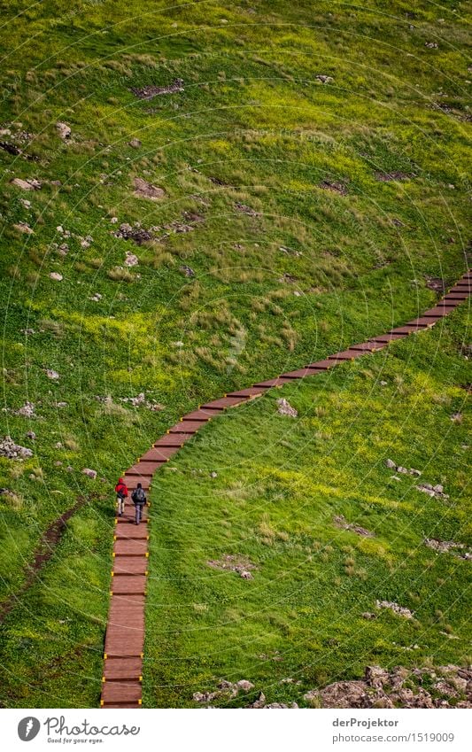 Ein langer Weg durchs Grün Ferien & Urlaub & Reisen Tourismus Ausflug Abenteuer Ferne Freiheit Berge u. Gebirge wandern Umwelt Natur Landschaft Pflanze Tier