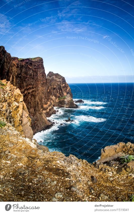 Felsen mit Aussicht Ferien & Urlaub & Reisen Tourismus Ausflug Abenteuer Ferne Freiheit Berge u. Gebirge wandern Umwelt Natur Landschaft Pflanze