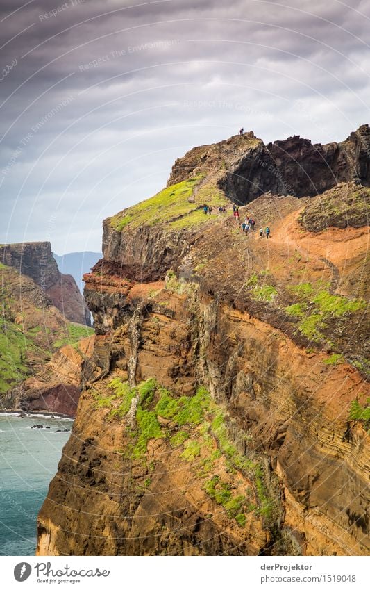 Walk the line 2 Ferien & Urlaub & Reisen Tourismus Ausflug Abenteuer Ferne Freiheit Expedition Berge u. Gebirge wandern Umwelt Natur Landschaft Pflanze Tier