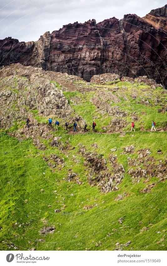 Walk the line 4 Ferien & Urlaub & Reisen Tourismus Ausflug Abenteuer Ferne Freiheit Berge u. Gebirge wandern Umwelt Natur Landschaft Pflanze Tier Winter Hügel