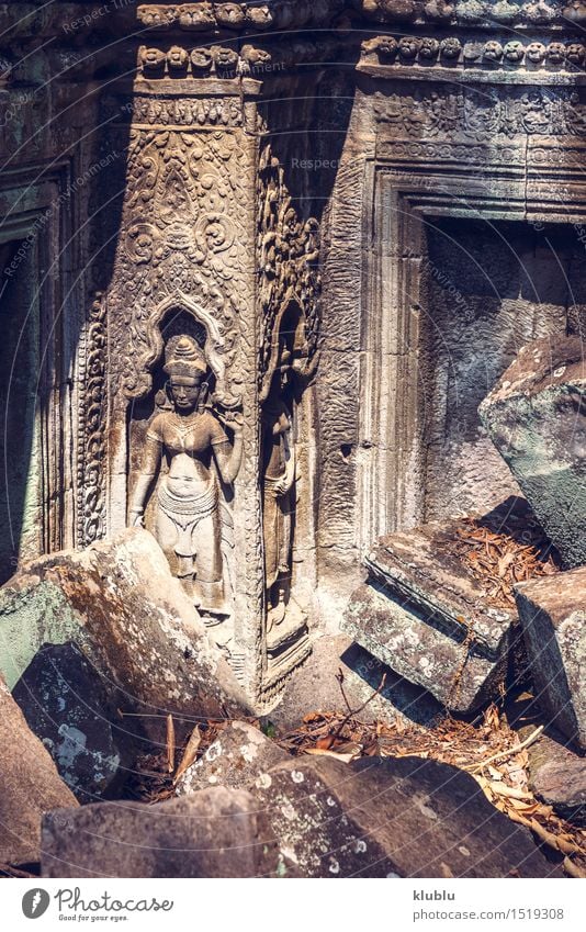 Ruinen von Angkor Thom in Kambodscha Ferien & Urlaub & Reisen Tourismus Kultur Erde Baum Park Urwald Felsen Gebäude Architektur Denkmal Stein alt historisch