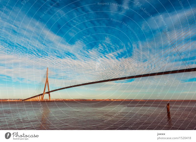 Pont de Normandie Himmel Wolken Schönes Wetter Brücke Bauwerk groß hoch blau innovativ Zusammenhalt Schrägseilbrücke Farbfoto Außenaufnahme Tag