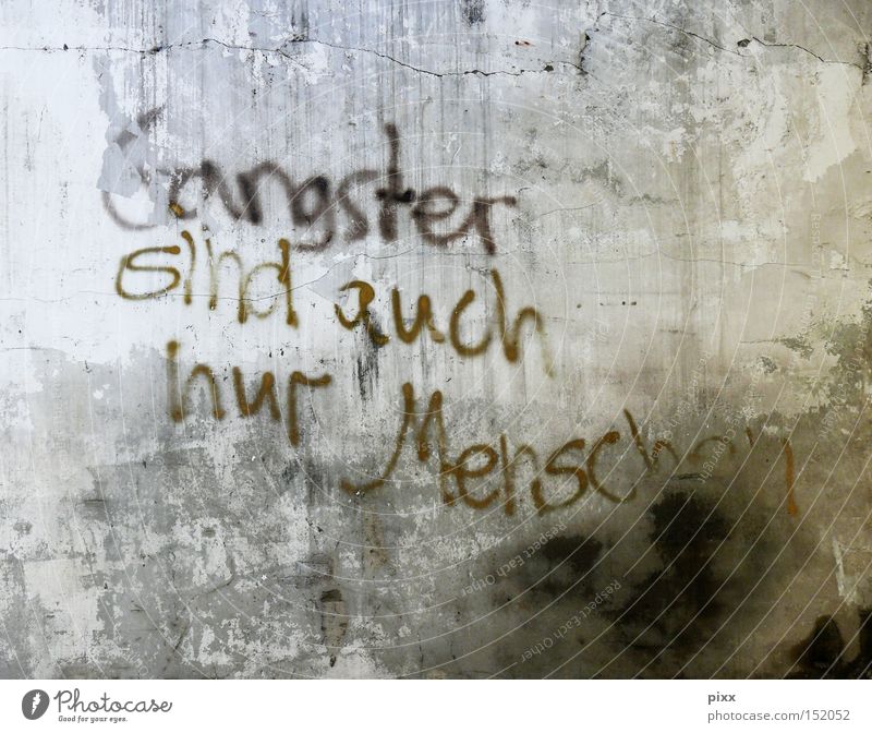 Klingt ganz logisch! Graffiti Mauer Wand Oberfläche gestalten Typographie Handschrift Tagger Krimineller Text Information verfallen Kunst Kultur