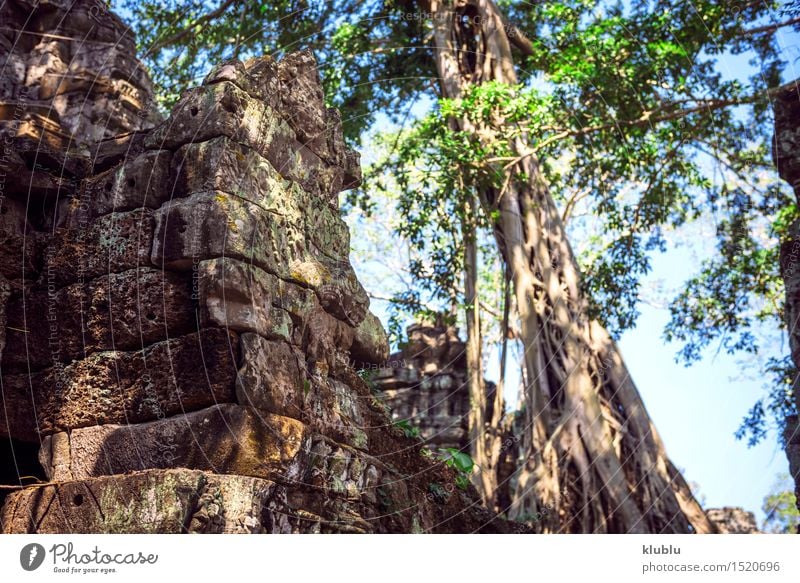 Angkor Thom Tempelansicht, Siem Reap, Kambodscha Gesicht Ferien & Urlaub & Reisen Tourismus Urwald Felsen Ruine Gebäude Architektur Denkmal Stein alt historisch