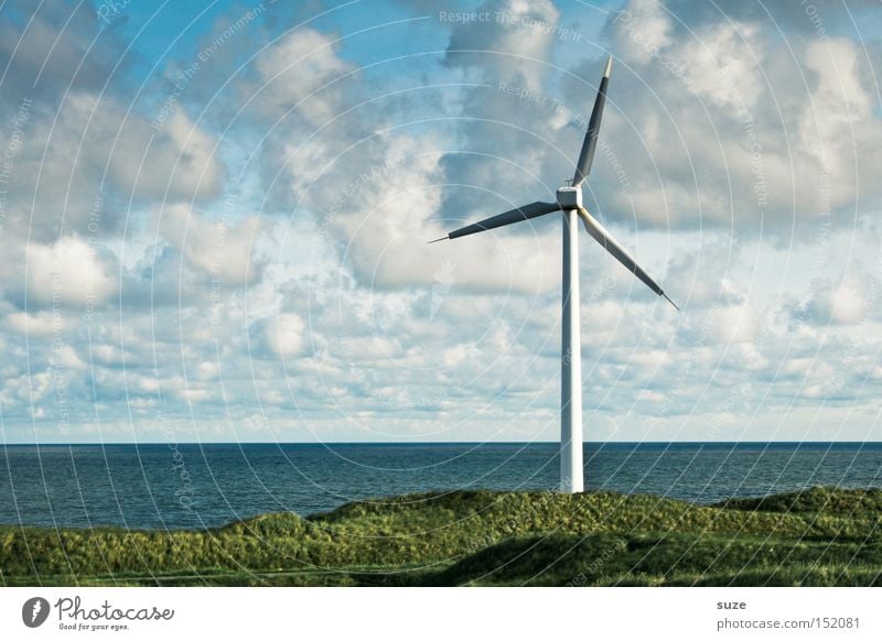 Windrad Meer Wirtschaft Energiewirtschaft Erneuerbare Energie Windkraftanlage Umwelt Himmel Wolken Küste authentisch ökologisch Farbfoto Außenaufnahme