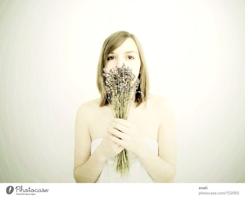 Lavendel Porträt Fliederbusch hell Licht weiß Blume Frau white flowers Heilpflanzen