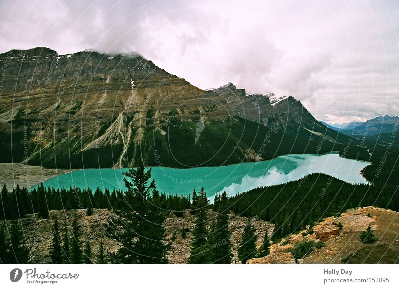 Der Peyto Lake im September See Berge u. Gebirge grün türkis Gletscher Baum Gebirgssee Kanada Jasper Icefield Parkway Wasser Aussicht Rocky Mountains