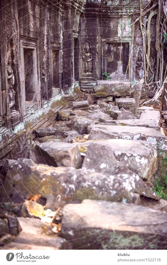 Angkor Thom Tempelansicht, Siem Reap, Kambodscha Gesicht Ferien & Urlaub & Reisen Tourismus Urwald Felsen Ruine Gebäude Architektur Denkmal Stein alt historisch