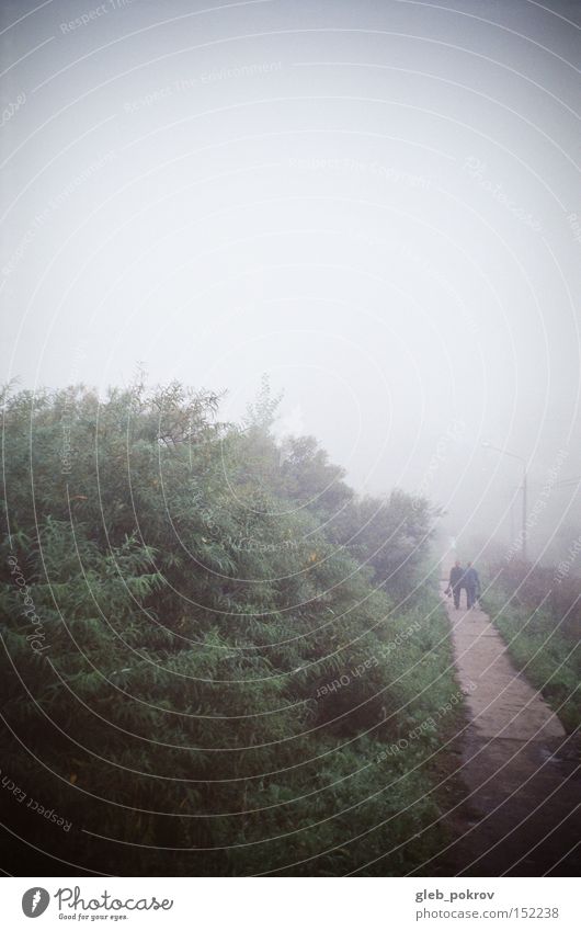 Nebel. Umnebelung Sibirien Reflexion & Spiegelung Blume Blüte grün Himmel weiß Mensch Straße Licht Lichterscheinung Russland Wetter Blitzeffekt