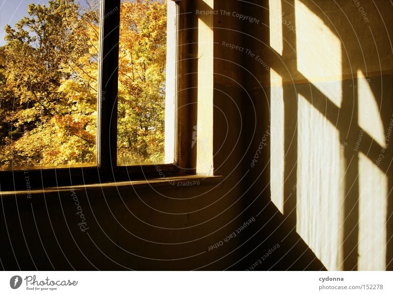 Herbsttag Haus Villa Fenster Licht altmodisch Leerstand Raum Häusliches Leben Zeit Vergänglichkeit Klassik Treppenhaus Nostalgie Jahrhundert verfallen