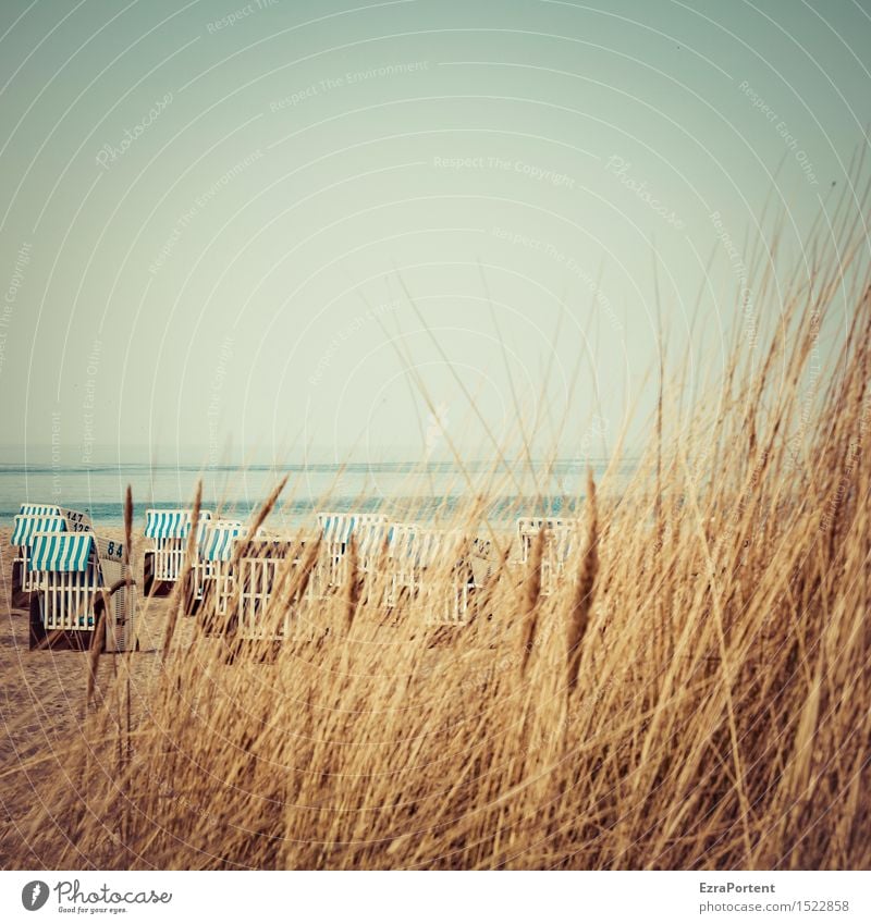 Strandbeobachtung Erholung ruhig Ferien & Urlaub & Reisen Tourismus Ausflug Sommer Meer Natur Landschaft Himmel Frühling Schönes Wetter Gras Ostsee blau braun