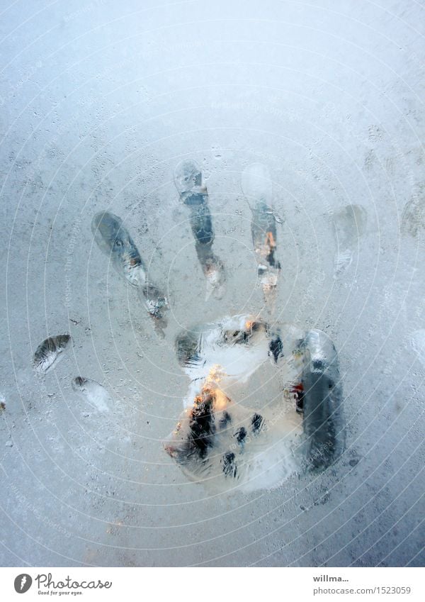 das eiskalte Händchen 2 Handabdruck Fensterscheibe Glasscheibe Winter Eis Frost gefroren Eisblumen Fingerabdruck Textfreiraum oben Abdruck eisig