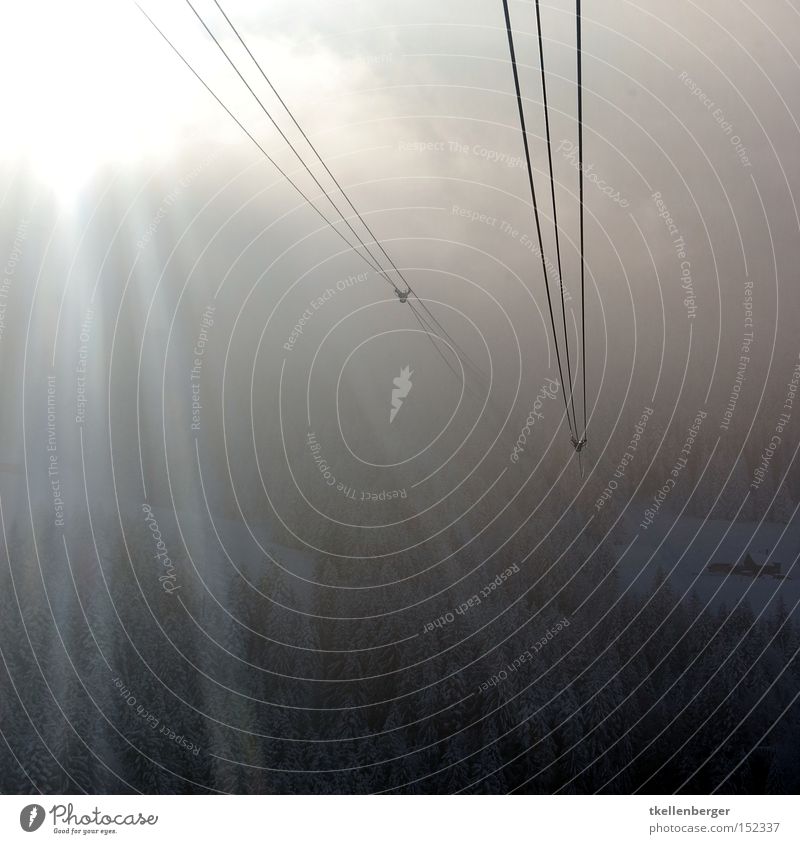 Ein Weg, aber wohin? Schweiz Seilbahn Sonne Sonnenstrahlen Nebel Wolken Schnee Wald Kabel Stahlkabel Streifen Angst Panik Berge u. Gebirge Luftverkehr Kronberg