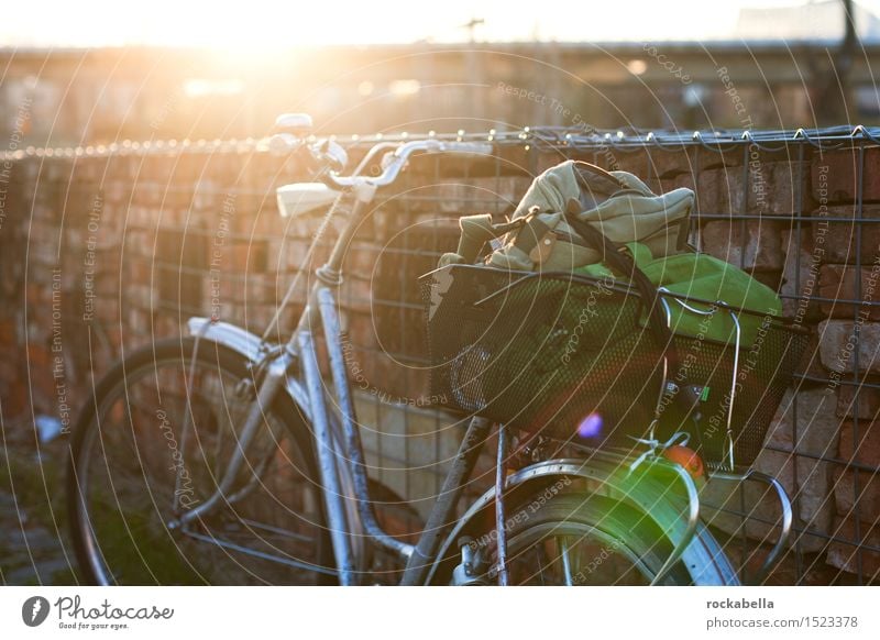 Fahrrad im Gegenlicht Fahrradtour Erholung erleben Freizeit & Hobby Blendenfleck Außenaufnahme Abend Sonnenlicht Schwache Tiefenschärfe