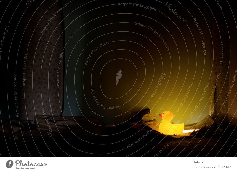 Weihnachtsbeleuchtung Tapete Ente Badeente Schwimmen & Baden Wand retro old-school Muster gelb Blume dunkel Lampe Beleuchtung Licht verfallen Vogel Möbel