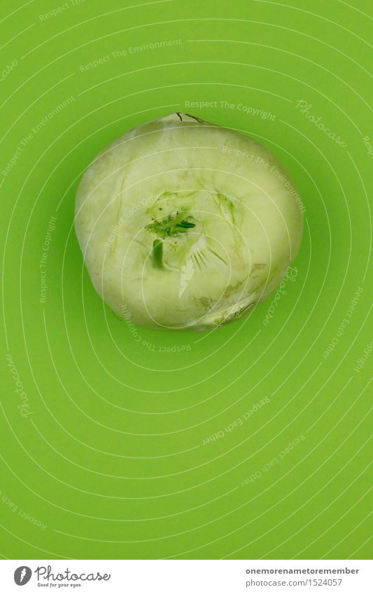 Der Dorf-Rabbi "Kohl" Kunst Kunstwerk ästhetisch grün Grünfläche Grünkohl Grünstich Kohlrabi grasgrün Vegetarische Ernährung Gesunde Ernährung rund Bioprodukte