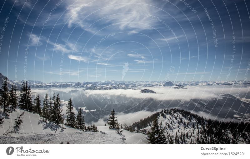 Iceworld Landschaft Urelemente Himmel Wolken Winter Schönes Wetter Nebel Eis Frost Schnee Baum Wald Hügel Alpen Berge u. Gebirge Gipfel Schneebedeckte Gipfel