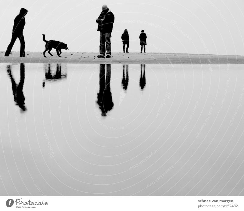 weihnachtsgesellschaft Mann Hund Frau Strand Wasser Meer Reflexion & Spiegelung ruhig Erholung Ferien & Urlaub & Reisen schwarz weiß Schwarzweißfoto Küste