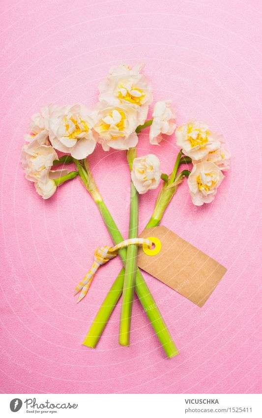 Schöne BlumenStrauß. Narzissen mit leere Etikett Karte elegant Stil Design Veranstaltung Feste & Feiern Valentinstag Muttertag Geburtstag Natur Pflanze Frühling