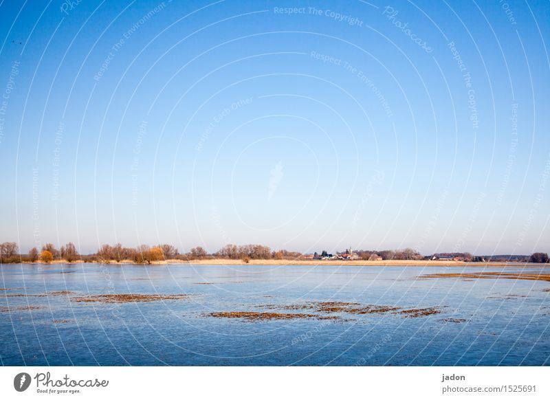 das frühjahrshochwasser. Umwelt Natur Landschaft Pflanze Urelemente Wasser Horizont Frühling Baum Feld See Fluss Skyline Kirche frisch blau Zufriedenheit Ferne