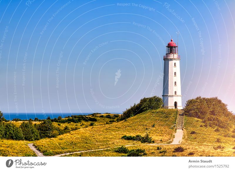 Leuchtturm Hiddensee Ferien & Urlaub & Reisen Tourismus Ausflug Ferne Sommer Sommerurlaub Insel Natur Landschaft Schönes Wetter Wiese Hügel Küste Ostsee Turm