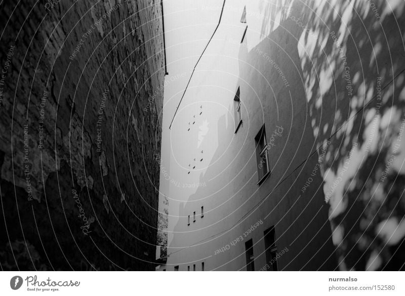 Durch Fahrt Weite Durchgang Haus Brandschutz Fenster Schatten tief Wand Stadt Stein Putz Symmetrie Geometrie Strukturen & Formen analog mono Architektur