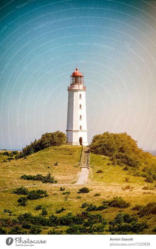 Leuchtturm Hiddensee Ferien & Urlaub & Reisen Tourismus Ausflug Ferne Sommer Sommerurlaub Insel Natur Landschaft Schönes Wetter Wiese Hügel Küste Ostsee Turm