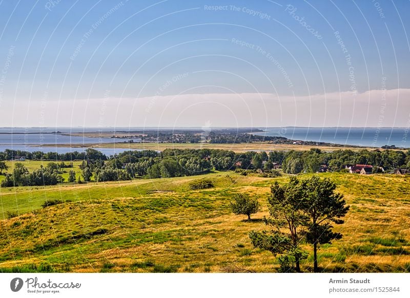 Landschaft - Hiddensee harmonisch Zufriedenheit Erholung ruhig Ferien & Urlaub & Reisen Tourismus Ausflug Ferne Sommerurlaub Meer Insel Umwelt Natur Pflanze