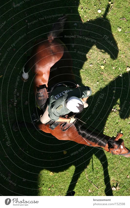 Apokalyptischer Reiter # 2 Polizist Polizei Bulle Schutzmann Reitsport Reiten Pferd Schatten Silhouette Uniform Vogelperspektive Öffentlicher Dienst