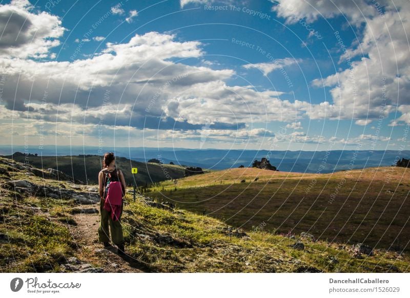 wandern in Alaska... Ferien & Urlaub & Reisen Abenteuer Ferne Freiheit Sommer Sommerurlaub Berge u. Gebirge Mensch feminin Junge Frau Jugendliche 1 Landschaft