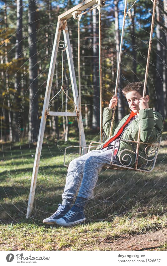 Kind auf einer Schaukel Freude Glück Freizeit & Hobby Spielen Sommer Junge Kindheit Natur Baum Park Wald Lächeln schaukeln Fröhlichkeit klein pendeln