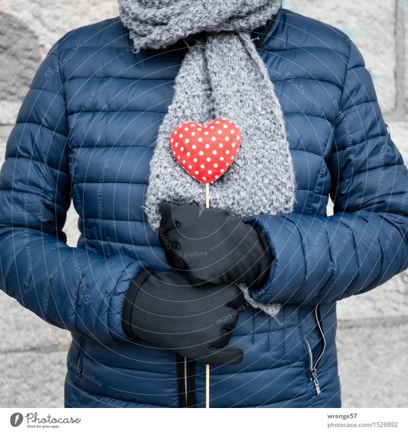 Herzensangelegenheit Mensch feminin Frau Erwachsene Weiblicher Senior 1 45-60 Jahre Liebe Valentinstag blau grau rot weiß Verliebtheit herzförmig rot-weiß